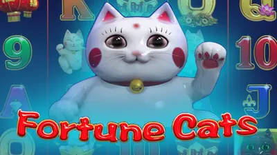 fortune cats